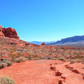 Preserving Poetry in Las Vegas: Organizations Dedicated to Archiving